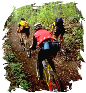 Mountain Bikes